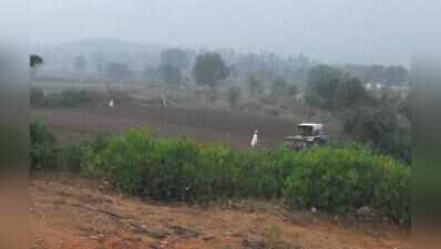 NGT forms joint panel to probe Sariska mining lease clearances