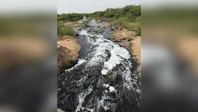 NEERI to assist in drafting restoration blueprint for Jojari–Bandi–Luni river system