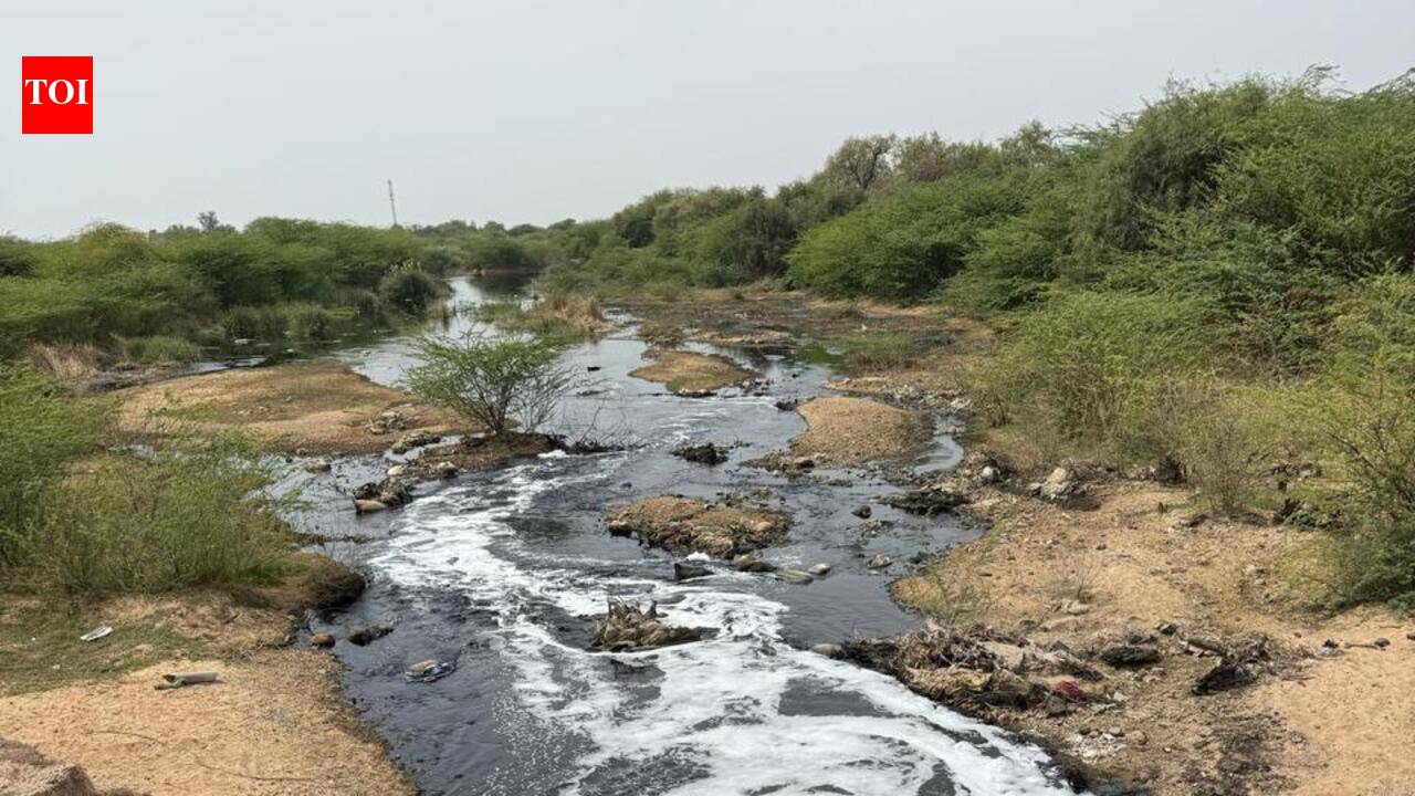 NEERI to assist in drafting restoration blueprint for Jojari–Bandi–Luni river system