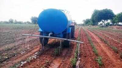 Dry spell drains hope: Koppal farmers hire tankers to rescue kharif crop