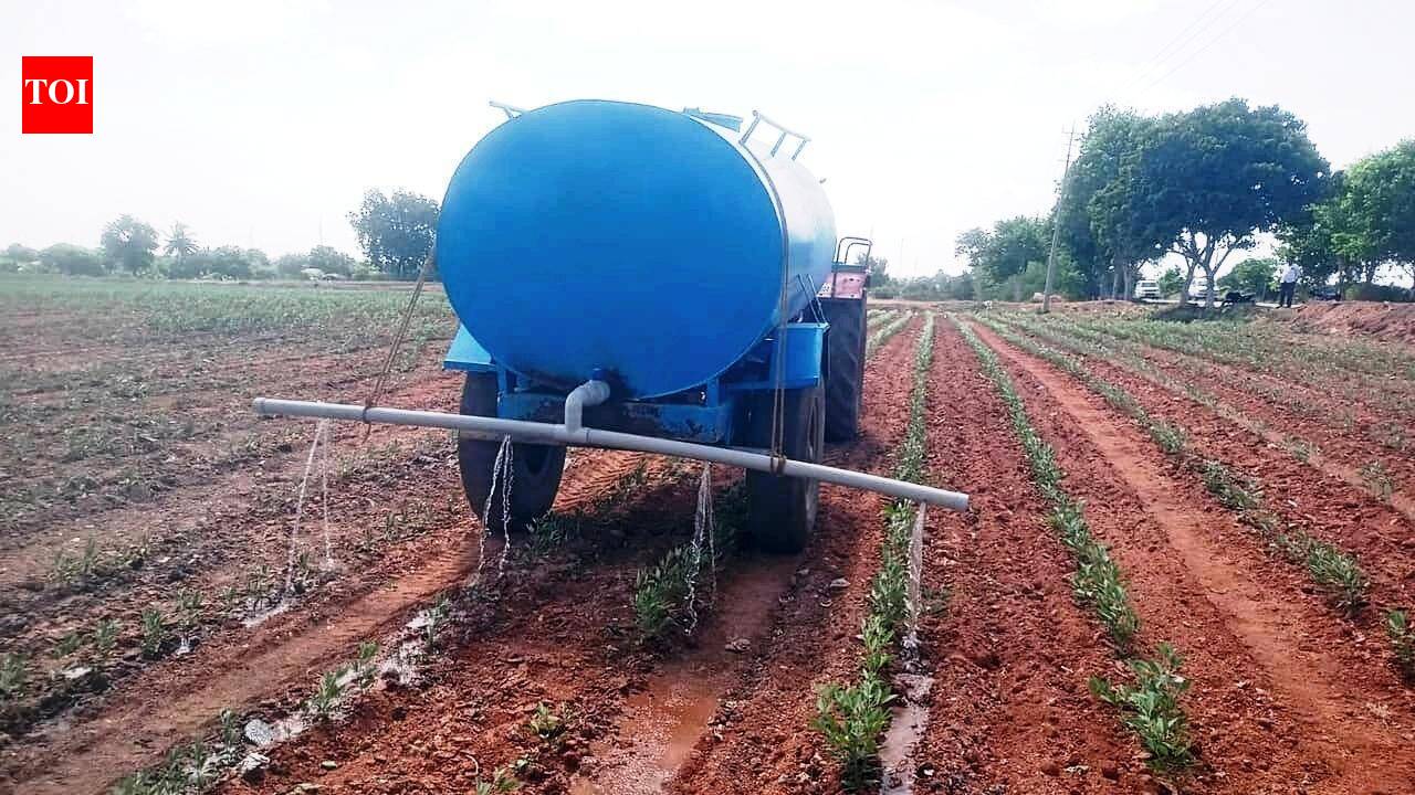 Dry spell drains hope: Koppal farmers hire tankers to rescue kharif crop