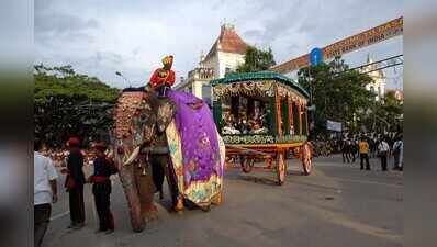 Abhimanyu breaks tusk in musth, remains healthy for Mysuru Dasara