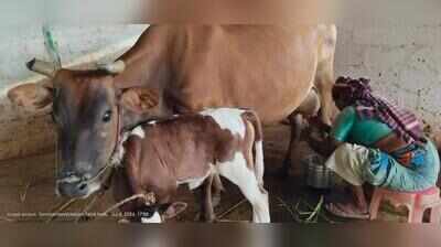 Farmers’ group urges TN govt to raise milk procurement price to Rs 50