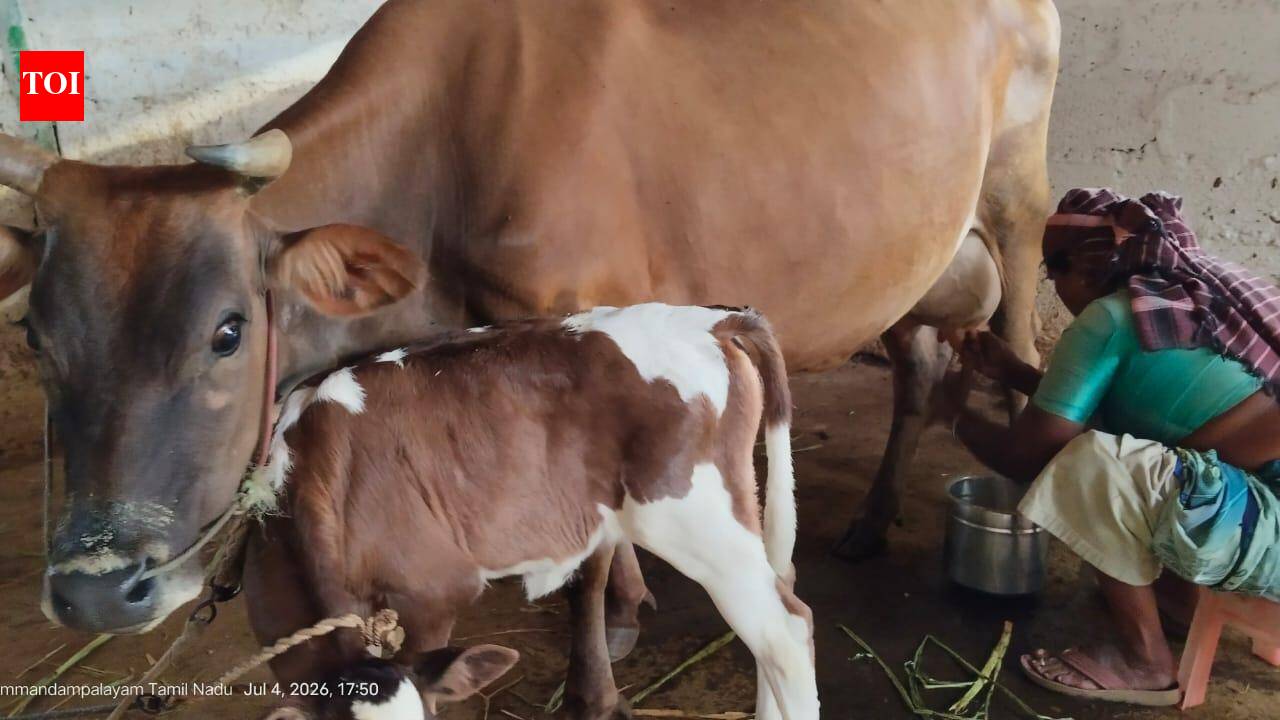 Farmers’ group urges TN govt to raise milk procurement price to Rs 50