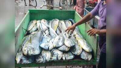 Ice shortage disrupts operations at Vizag fishing harbour