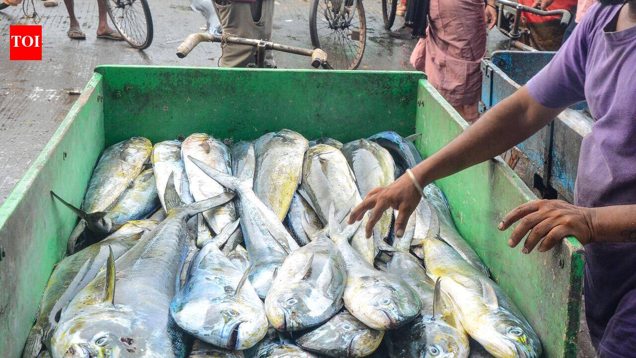 Ice shortage disrupts operations at Vizag fishing harbour
