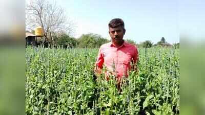 Jalna’s 20-acre crop gamble aims to stem farm losses & suicides
