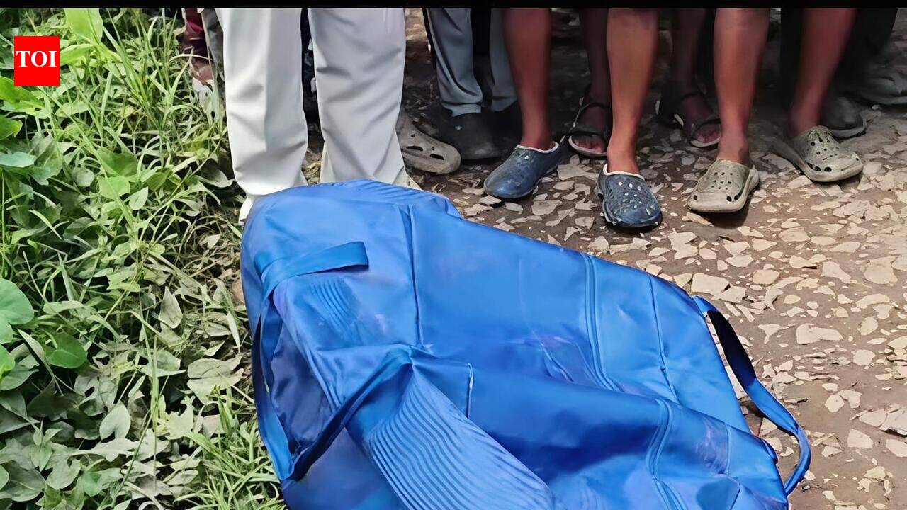 Engineer killed dad, stashed body in bag