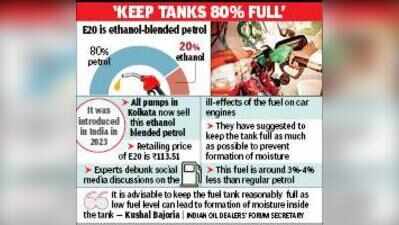 E20 gives 4% lower mileage but safe for engines: Experts