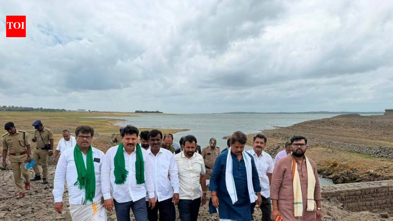 BJP delegation inspects KRS dam, demands drought relief for farmers