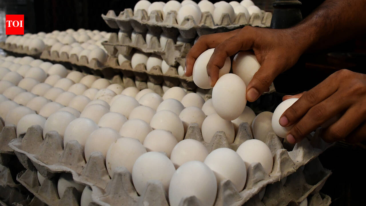 Eggs-pensive times: Prices rise on supply constraints in Bengaluru