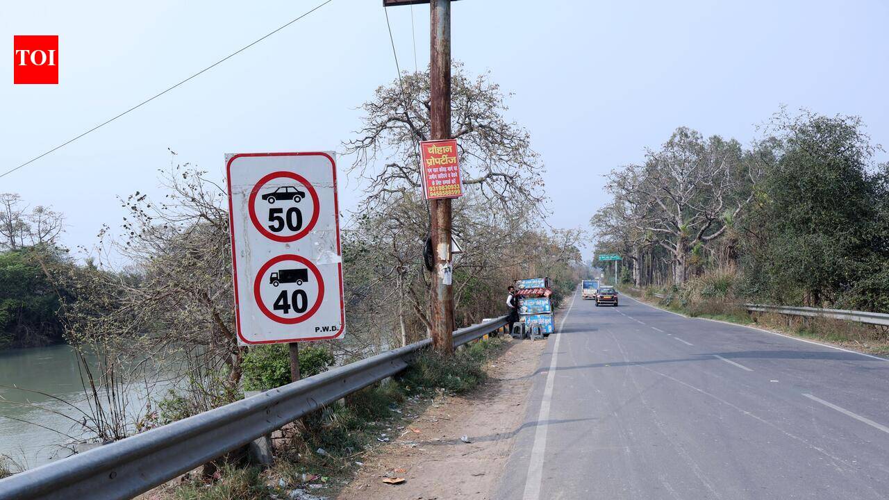1L+ trees need to be cut, kanwar corridor held up