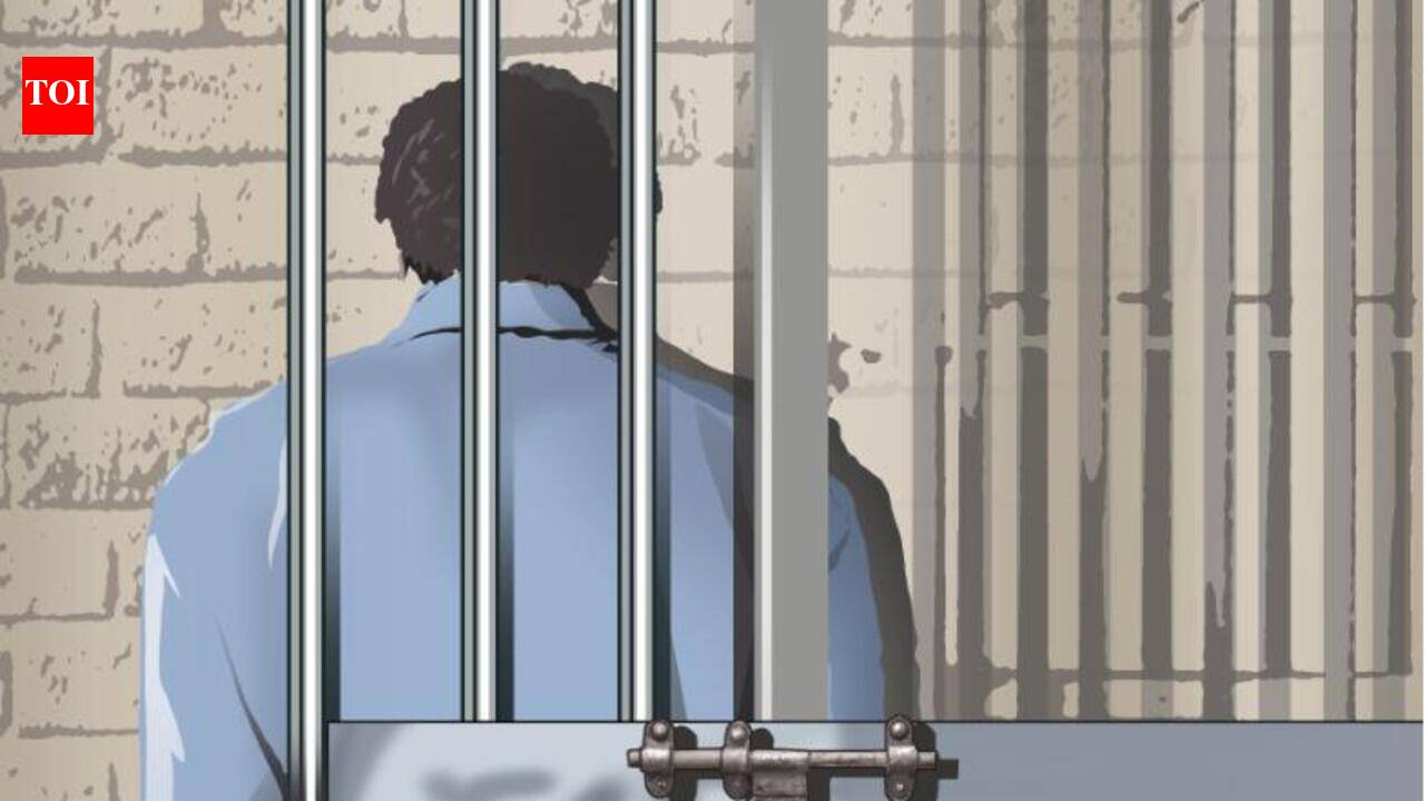 Two men get 10-year jail terms for phone snatching