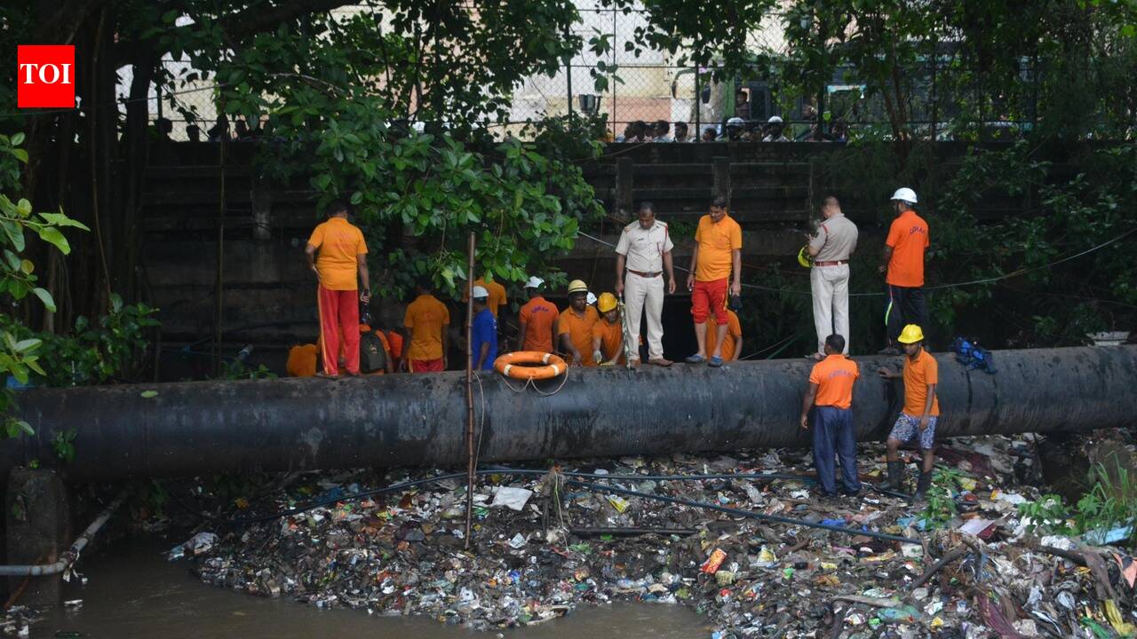 Ragpicker goes missing after falling into drain in city