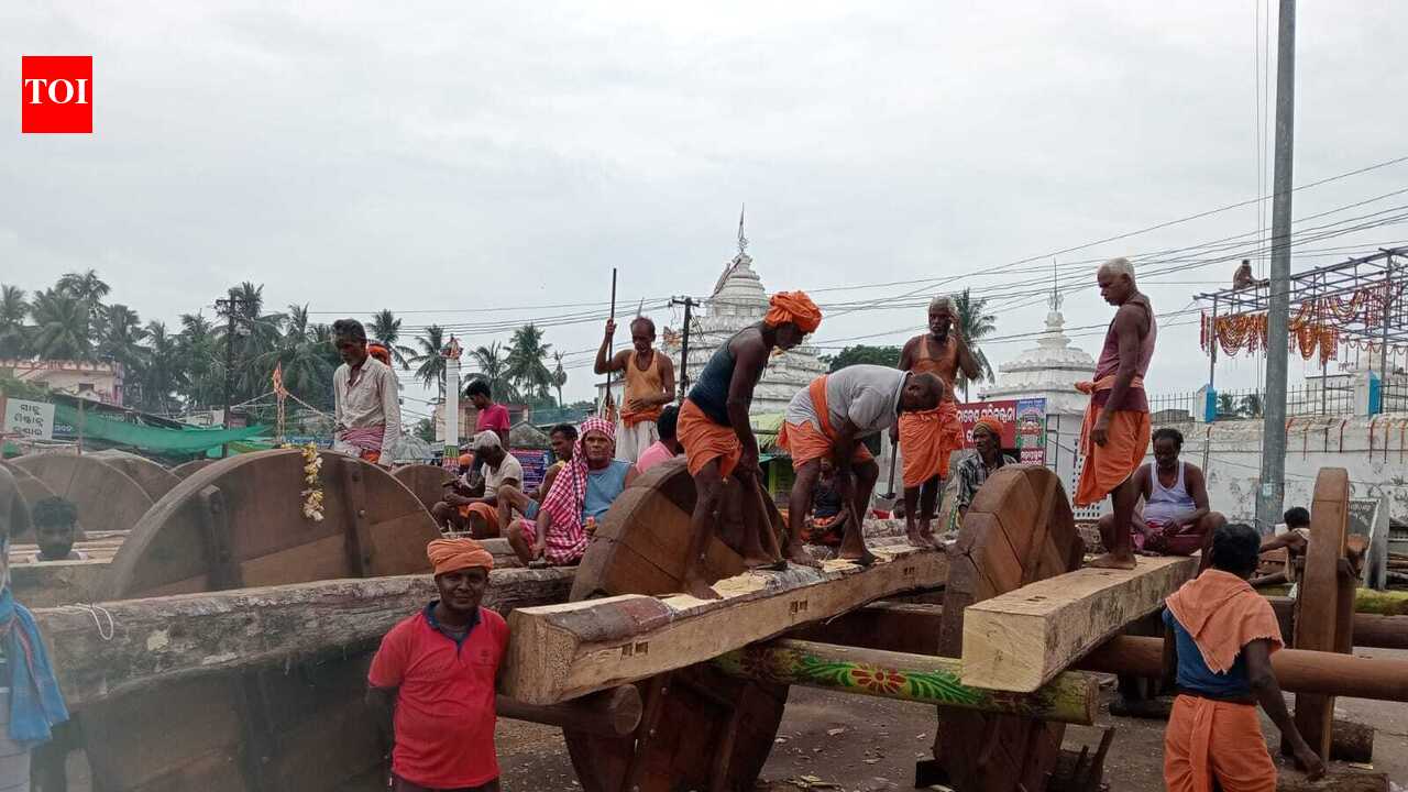IIT BBS experts tip K’pada temple Rath Yatra