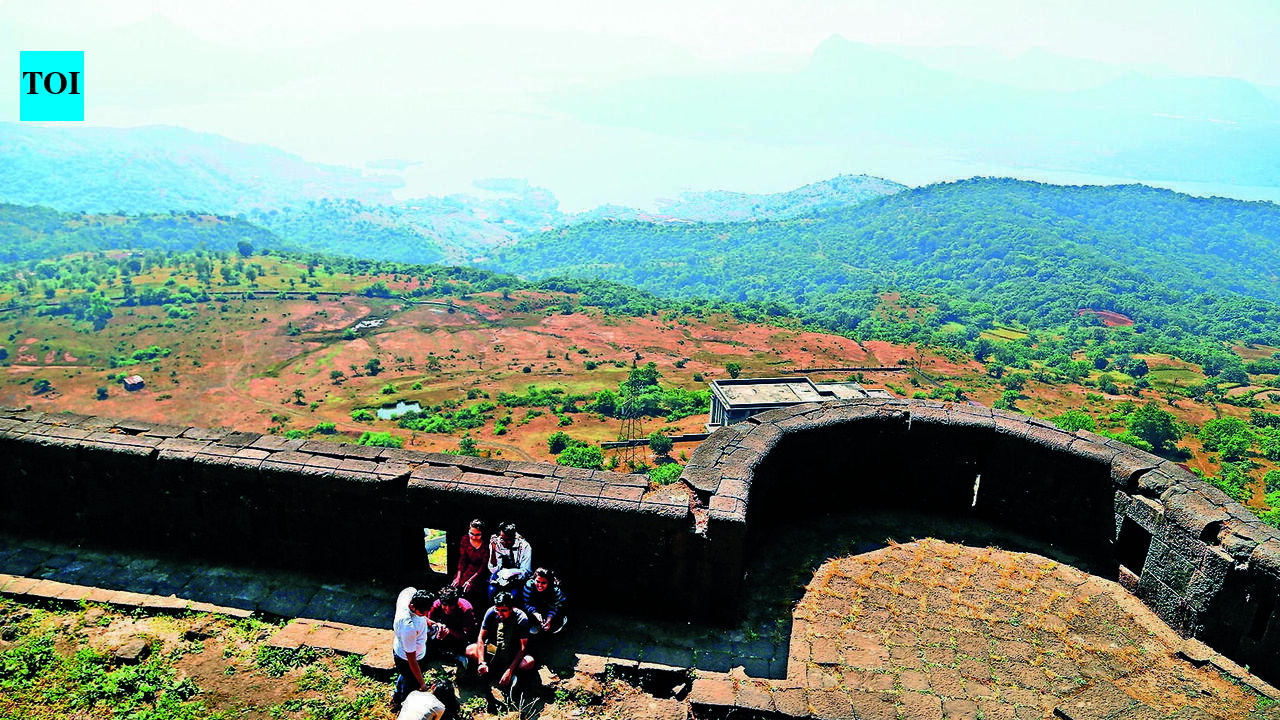 Cops focus on decoding data recovered from 3 seized cellphones of Lohagad murder accused
