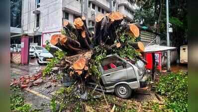 Over 50 tree-fall cases keep fire brigade personnel on their toes