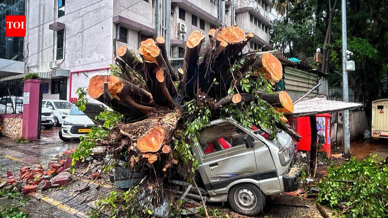 Over 50 tree-fall cases keep fire brigade personnel on their toes