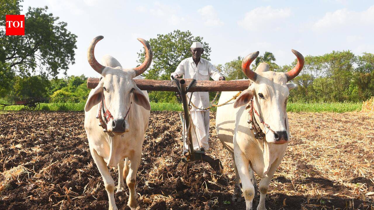 Farmers who acquired cultivable land after 2019 cutoff should be included in PM-KISAN Yojana: Onion growers’ association