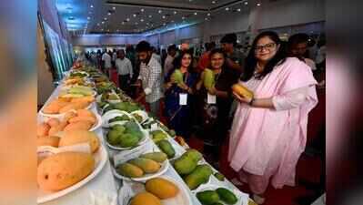 Mango fest delights eyeballs as much as tastebuds
