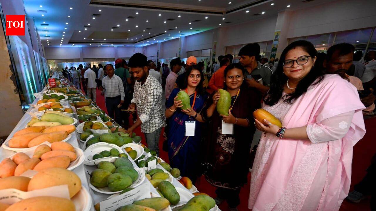 Mango fest delights eyeballs as much as tastebuds