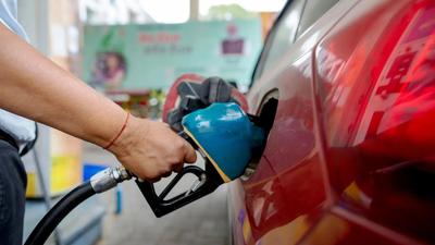STORY GOVT DEBUNKS E20 FUEL MYTHS 10-POINT CLARIFICATION