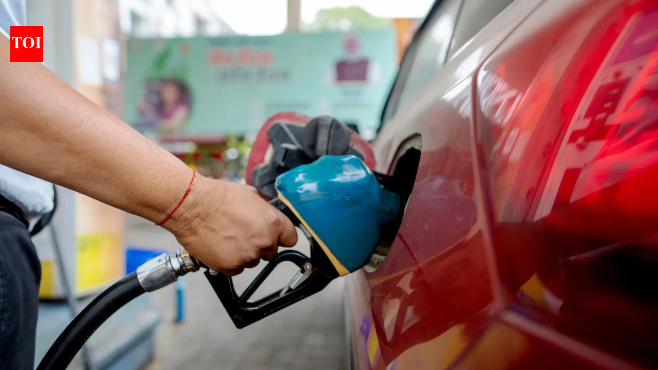 Carmakers on E20: No engine damage, but mileage drops