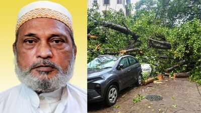 Another rain tragedy in Mumbai: 63-year-old man dies after tree collapses