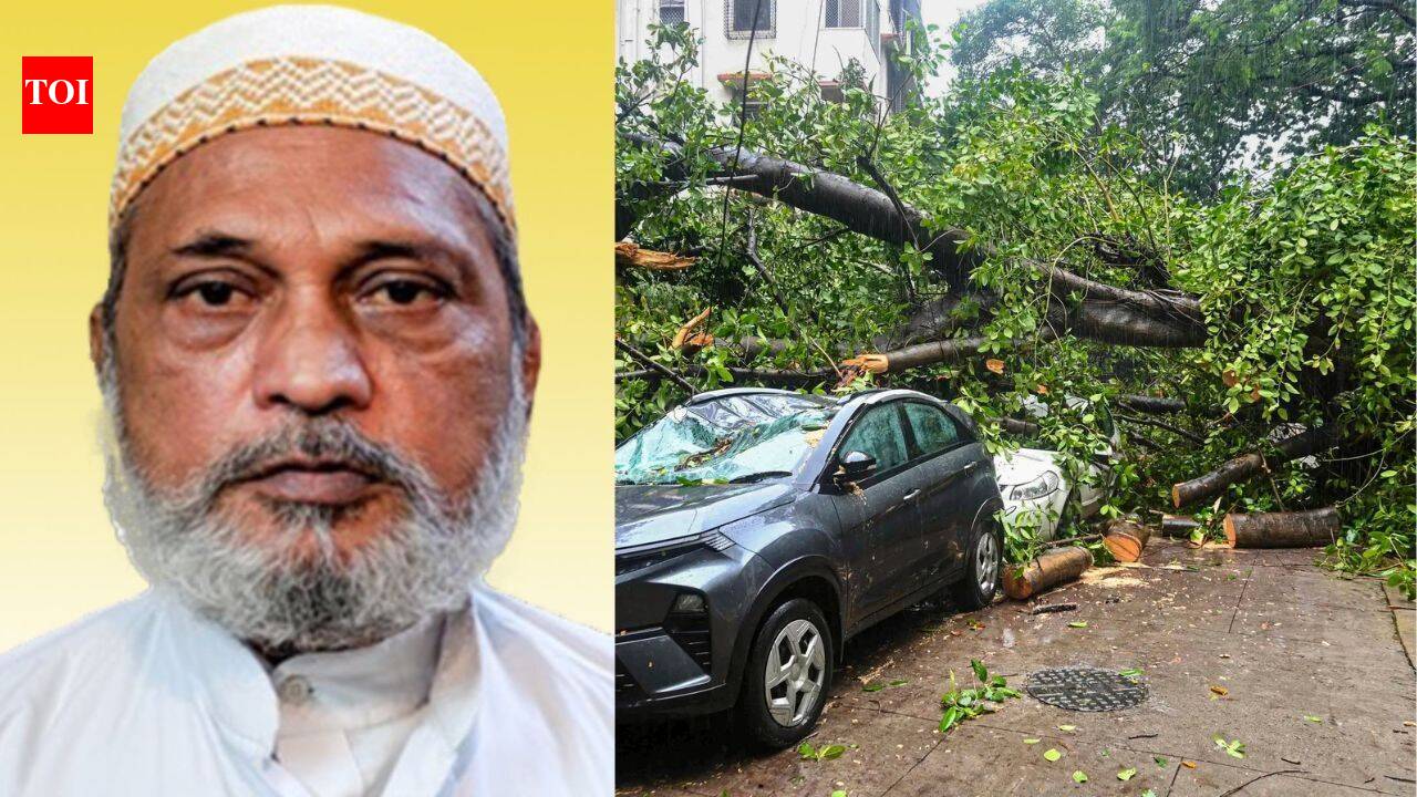 Another rain tragedy in Mumbai: 63-year-old man dies after tree collapses