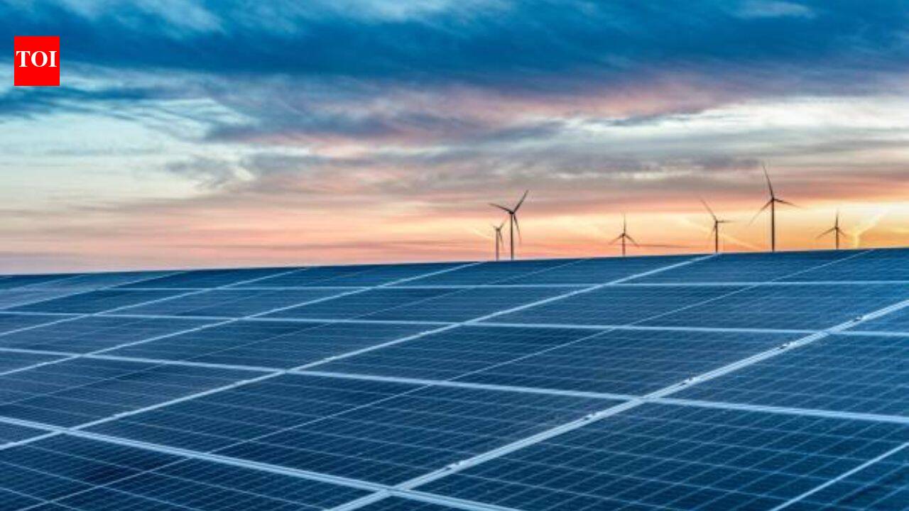 Floating solar farm in the Netherlands is transforming underwater habitat
