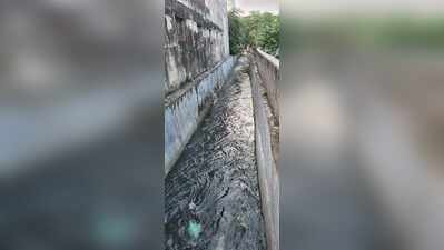 Day after capital tragedy, BeMC gears up to cover open drains