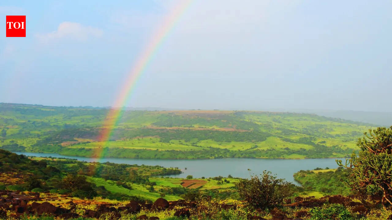 5 grasslands in India where the monsoon feels magical