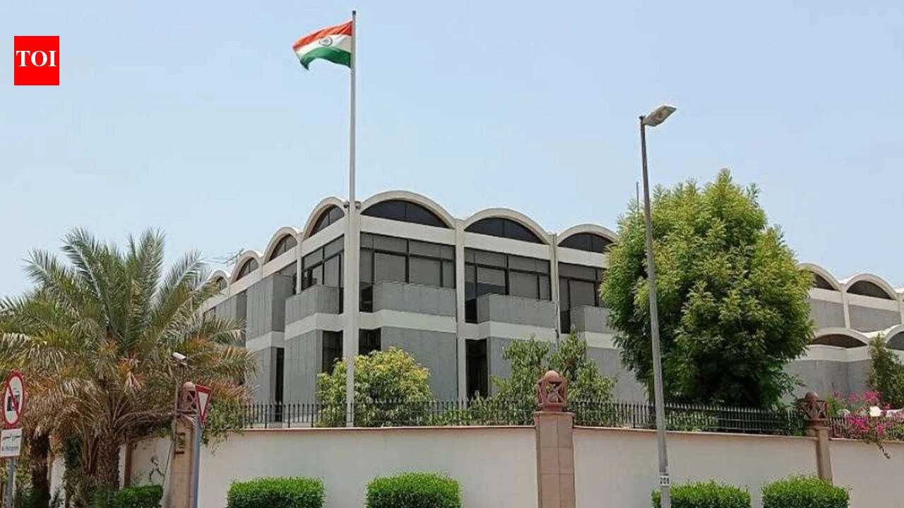 Indian expats in UAE can book passport, visa services online as missions launch new booking portal