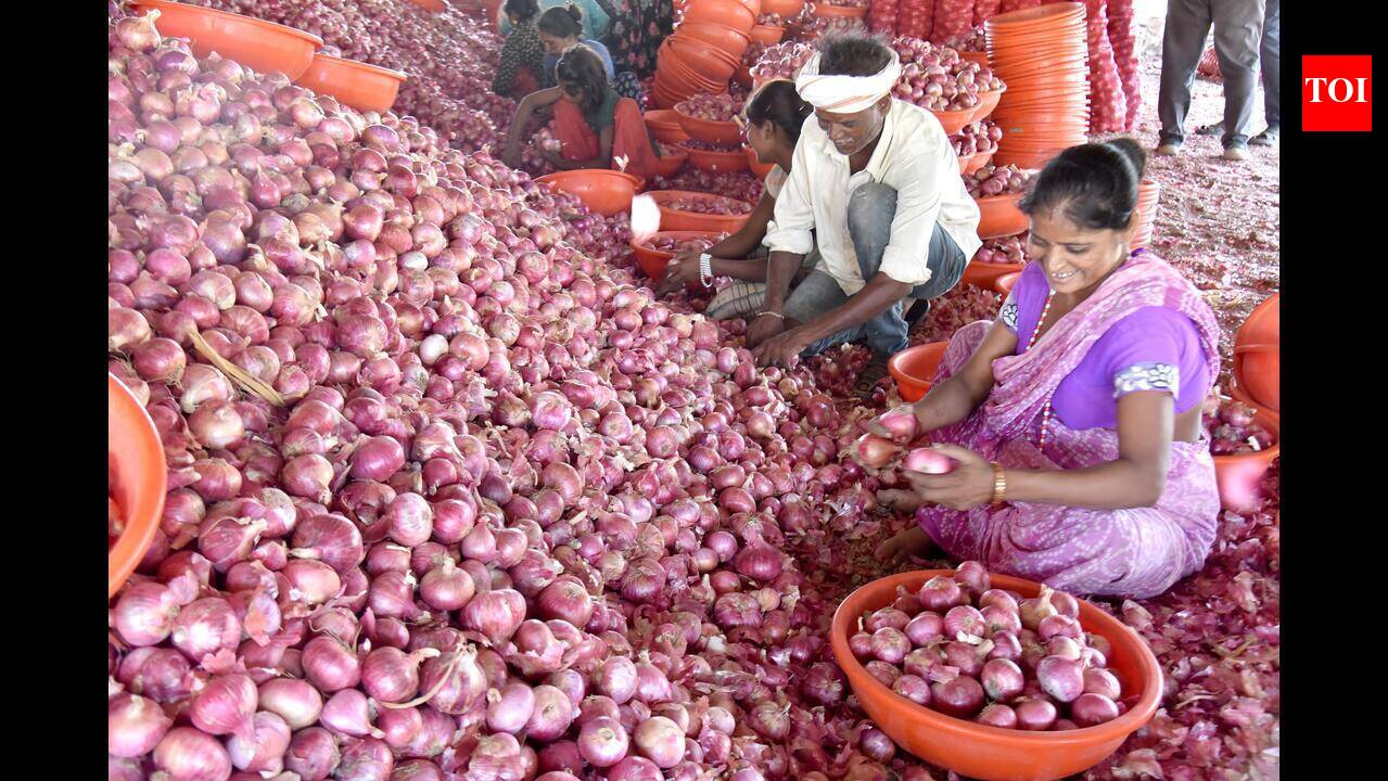 Onion market