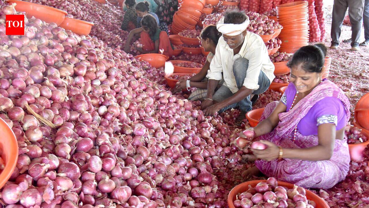 Centre hikes onion procurement price for the seventh time; farmers still prefer APMCs that give better rates