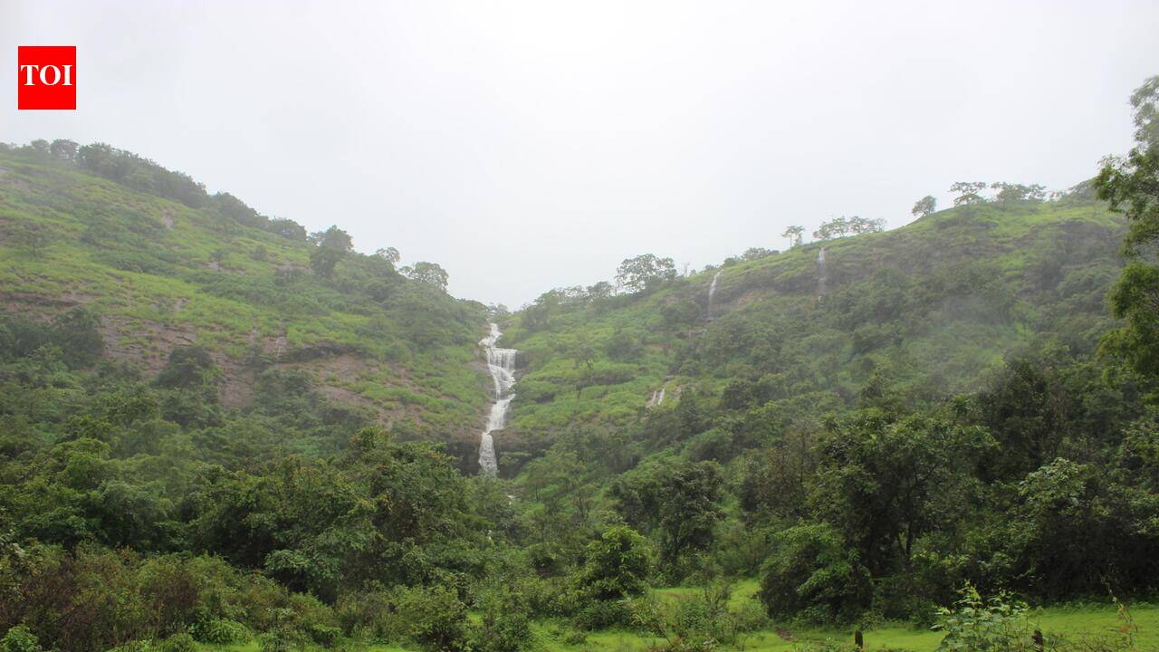 Pandavkada Drownings Renew Call to Revive Shelved Eco-Tourism Plan