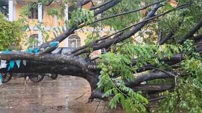 Koraput gets 101.26 mm rain in 24 hrs