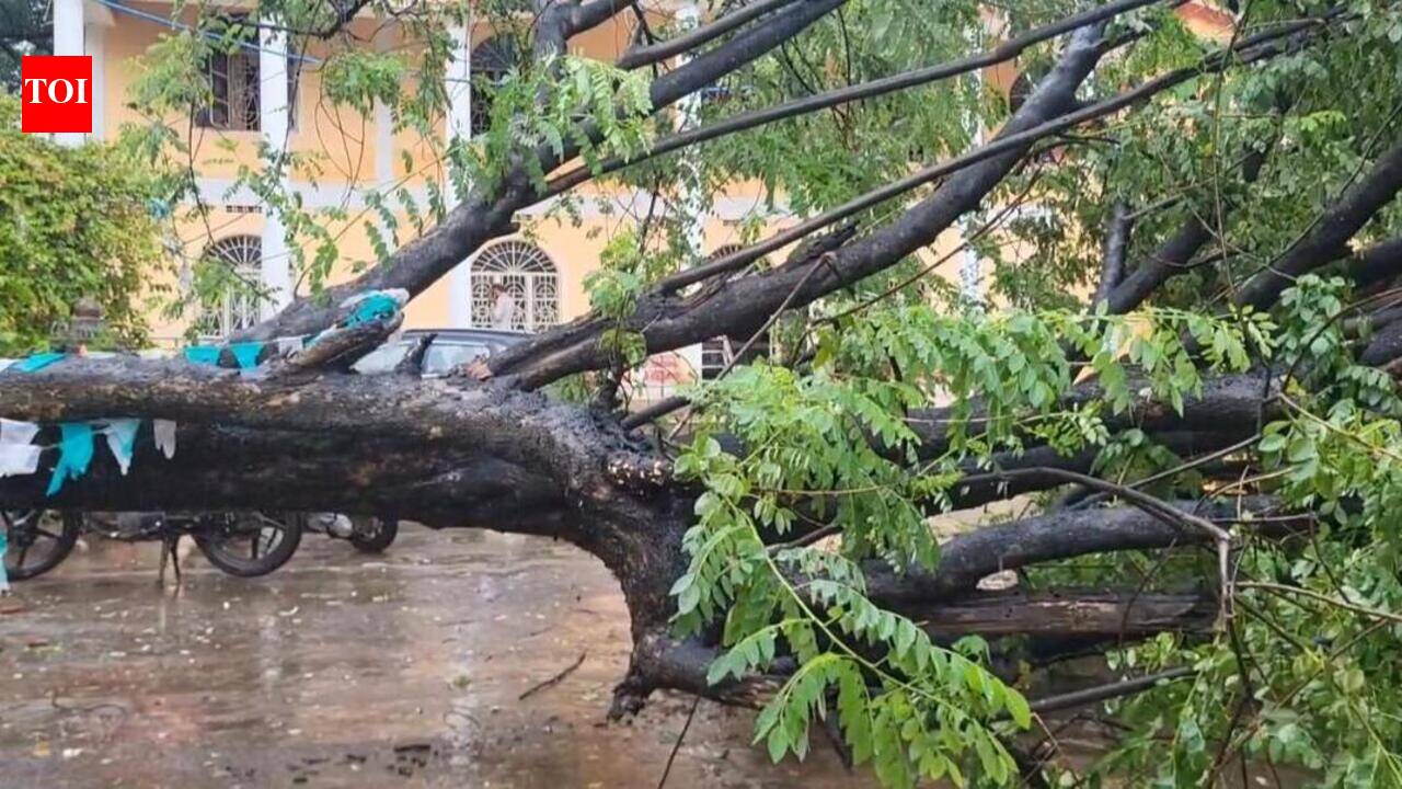 Koraput gets 101.26 mm rain in 24 hrs