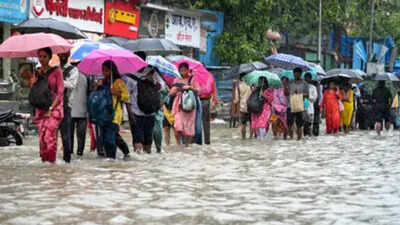 Thane declares holiday for all schools on July 6 amid orange alert for heavy rain
