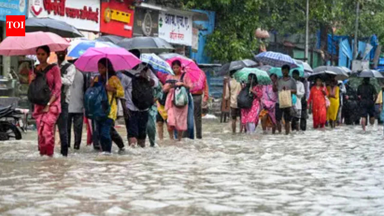 Thane declares holiday for all schools on July 6 amid orange alert for heavy rain