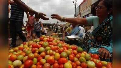ITC to drive tomato revolution in AP’s Kuppam with ₹8 crore agro cluster