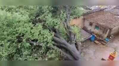 RAINS BOOST INFLOW INTO RESERVOIRS, WATERLOGGING HITS LOW-LYING AREAS IN BELAGAVI
