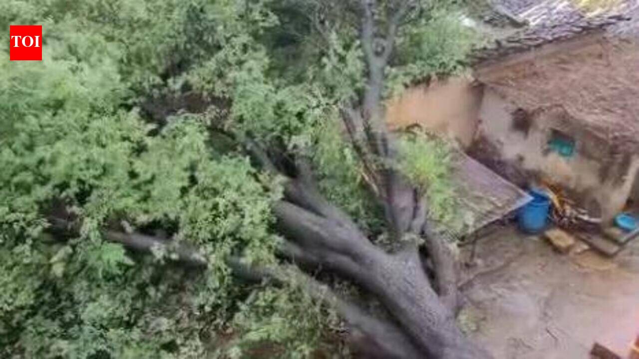 RAINS BOOST INFLOW INTO RESERVOIRS, WATERLOGGING HITS LOW-LYING AREAS IN BELAGAVI
