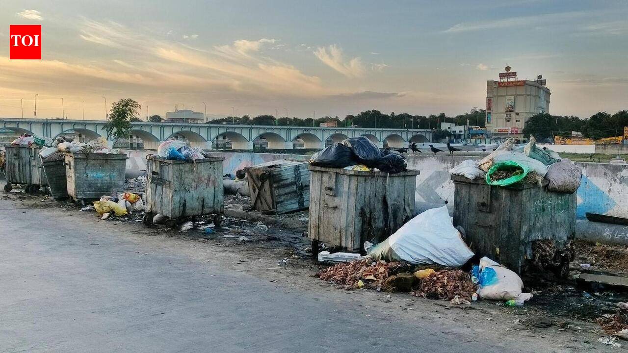 Meat waste piles up along south bank of Vaigai