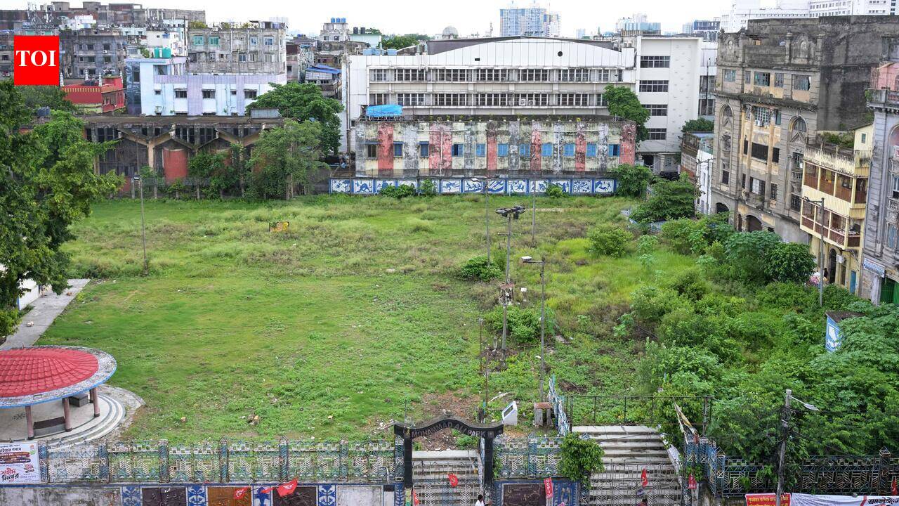 Md Ali Park organisers against puja name change