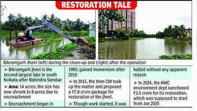 Come take selfies, KMC urges after Bikramgarh Jheel clean-up