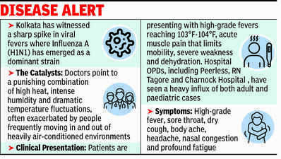H1N1 makes comeback as hosps report cases amid temp see-saw
