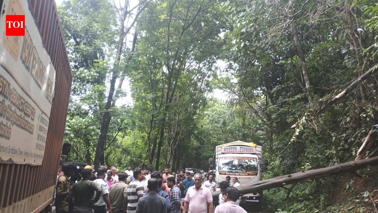 Fallen tree disrupts traffic on Chorla Ghat