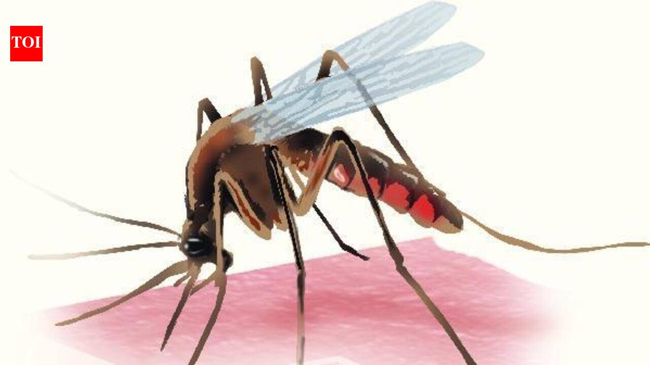 Dengue surge fuels blame game