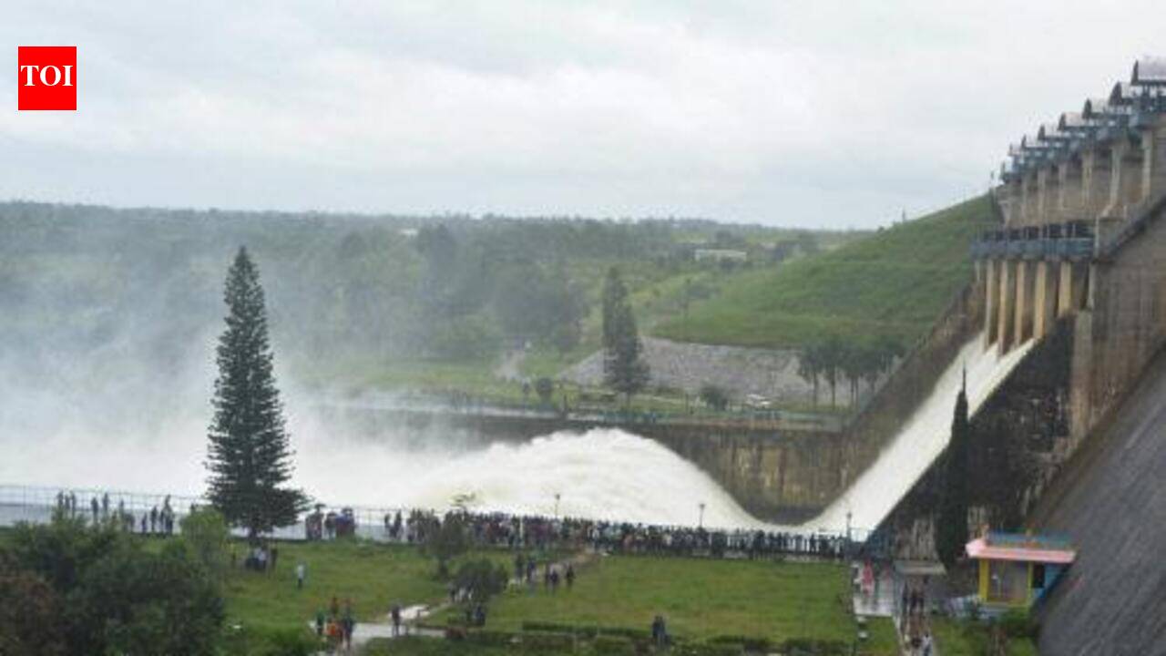 Good rains boost reservoir levels in Hassan, Chikkamagaluru